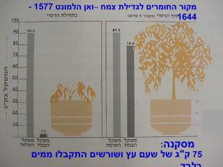 מקור החומרים לגדילת צמח –ואן הלמונט 1577 - 1644