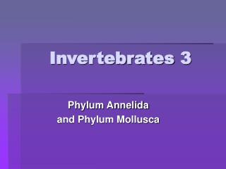 Invertebrates 3