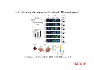 S Yoshimoto et al. Nature 000 , 1-5 (2013) doi:10.1038/nature12347