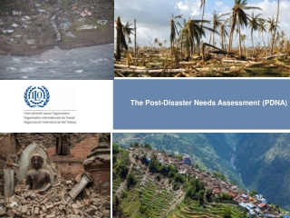 The Post-Disaster Needs Assessment ( PDNA)