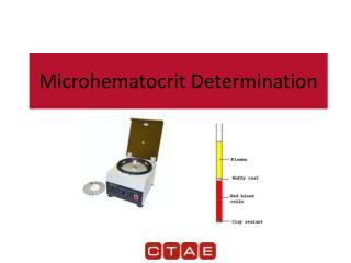 Microhematocrit Determination