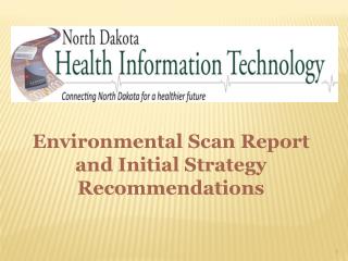 Environmental Scan Report and Initial Strategy Recommendations