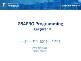 Bugs & Debugging - Testing