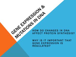 GENE EXPRESSION &amp; MUTATIONS IN DNA