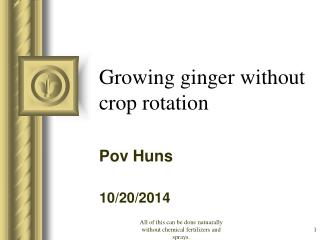 Growing ginger without crop rotation