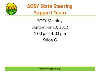 SOSY State Steering Support Team