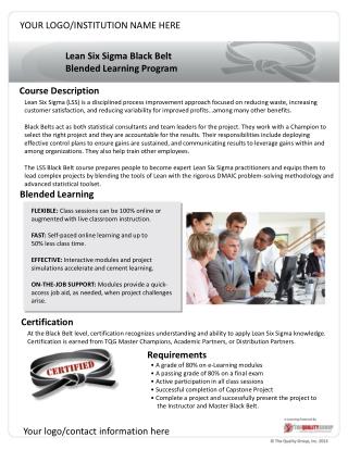 Lean Six Sigma Black Belt Blended Learning Program