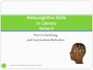 Metacognitive Skills in Literacy Series B