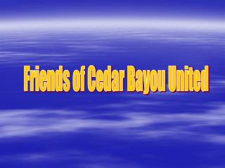 Friends of Cedar Bayou United