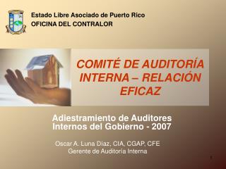 Adiestramiento de Auditores Internos del Gobierno - 2007