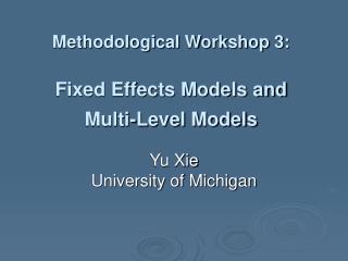 Methodological Workshop 3: Fixed Effects Models and Multi-Level Models