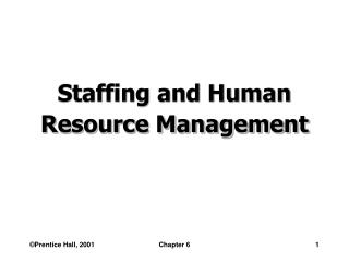 Staffing and Human Resource Management