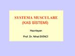 SYSTEMA MUSCULARE KAS SISTEMI Hazirlayan Prof. Dr. Nihat EKINCI