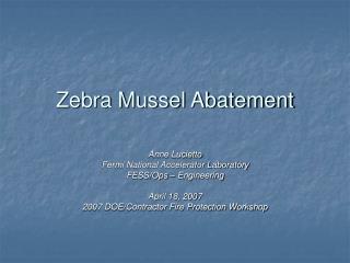 Zebra Mussel Abatement