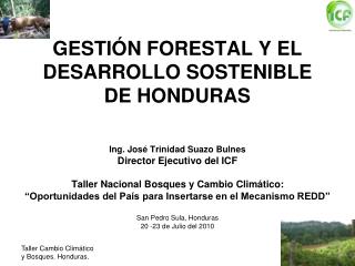 GESTIÓN FORESTAL Y EL DESARROLLO SOSTENIBLE DE HONDURAS