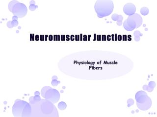 Neuromuscular Junctions