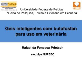 Rafael da Fonseca Prietsch e equipe NUPEEC
