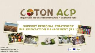 SUPPORT REGIONAL STRATEGIES’ IMPLEMENTATION MANAGEMENT (R1.1)