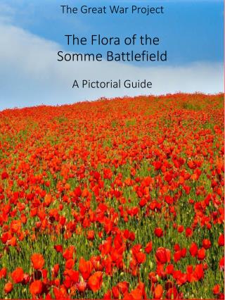 The Great War Project The Flora of the Somme Battlefield A Pictorial Guide