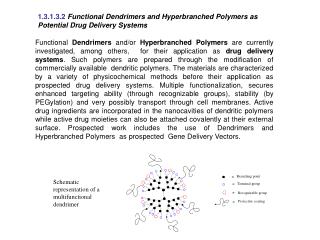 1.3.1.3.2 Functional Dendrimers and Hyperbranched Polymers as Potential Drug Delivery Systems