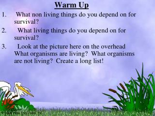 Warm Up What non living things do you depend on for survival?