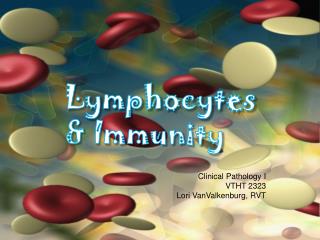 Lymphocytes &amp; Immunity Clinical Pathology I VTHT 2323 Lori VanValkenburg , RVT
