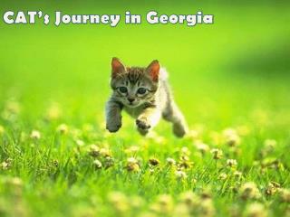 CAT’s Journey in Georgia