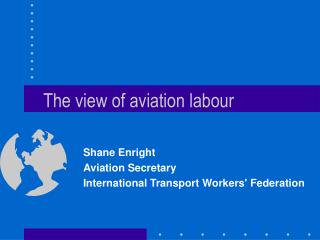 The view of aviation labour