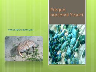 Parque nacional Yasuní
