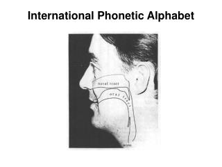 International Phonetic Alphabet