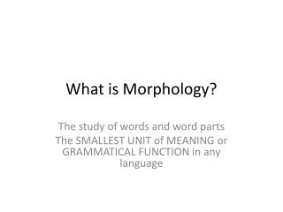 What is Morphology?