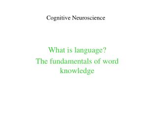 Cognitive Neuroscience