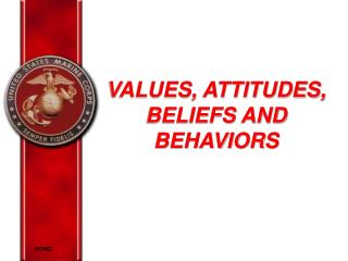 VALUES, ATTITUDES, BELIEFS AND BEHAVIORS