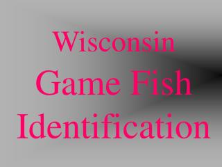 Wisconsin Game Fish Identification