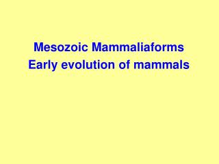 Mesozoic Mammaliaforms Early evolution of mammals