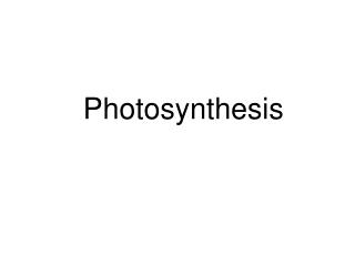 Photosynthesis