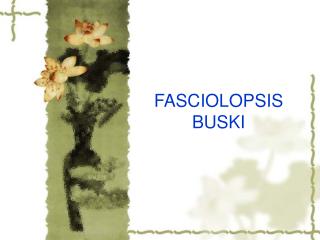 FASCIOLOPSIS BUSKI
