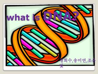 what is DNA?