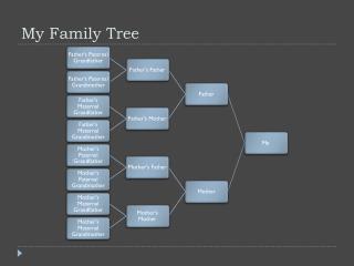 My Family Tree