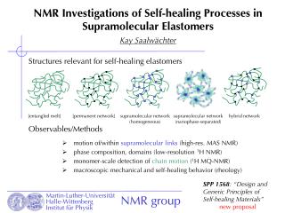 NMR Investigations of Self-healing Processes in Supramolecular Elastomers Kay Saalwächter