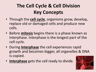 The Cell Cycle &amp; Cell Division Key Concepts