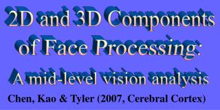 2D and 3D Components