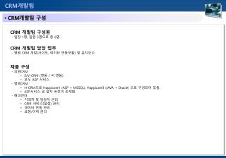 CRM 개발팀 구성