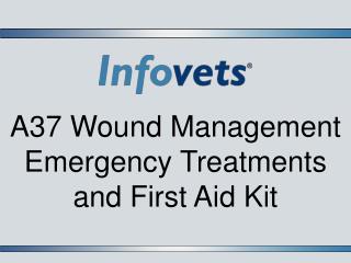 A37 Wound Management Emergency Treatments and First Aid Kit