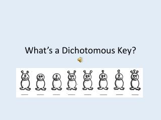 What’s a Dichotomous Key?