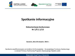 Spotkanie informacyjne Dokumentacja konkursowa Nr 1/9.1.1/13