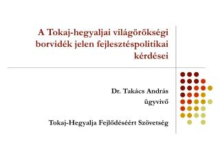 A Tokaj-hegyaljai világörökségi borvidék jelen fejlesztéspolitikai kérdései