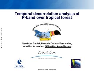 Temporal decorrelation analysis at P-band over tropical forest