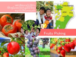 Fruits Picking