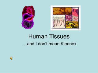 Human Tissues